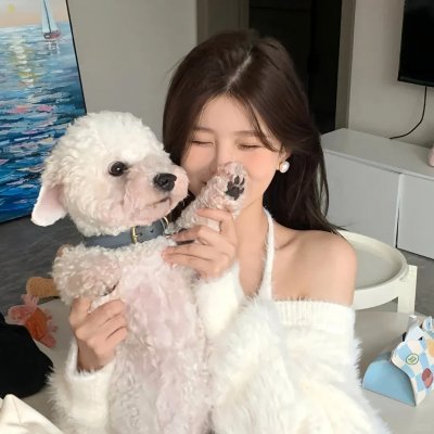 麻花探班记